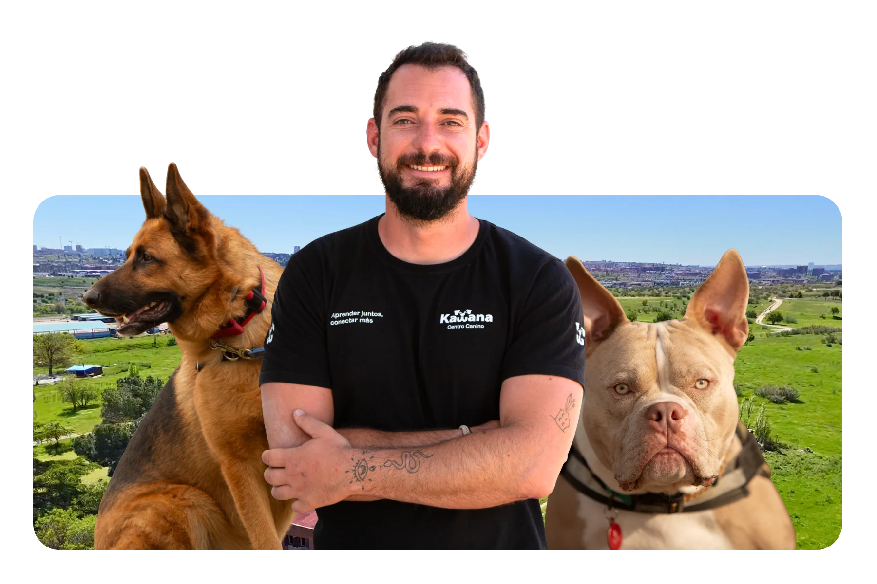 Banner del Curso de Adiestramiento Canino