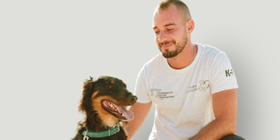 Imagen destacada del curso de Adiestramiento Canino Profesional